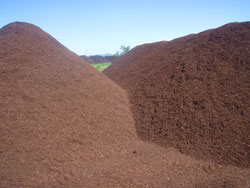 Organic Compost