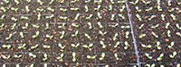 Potting Mix